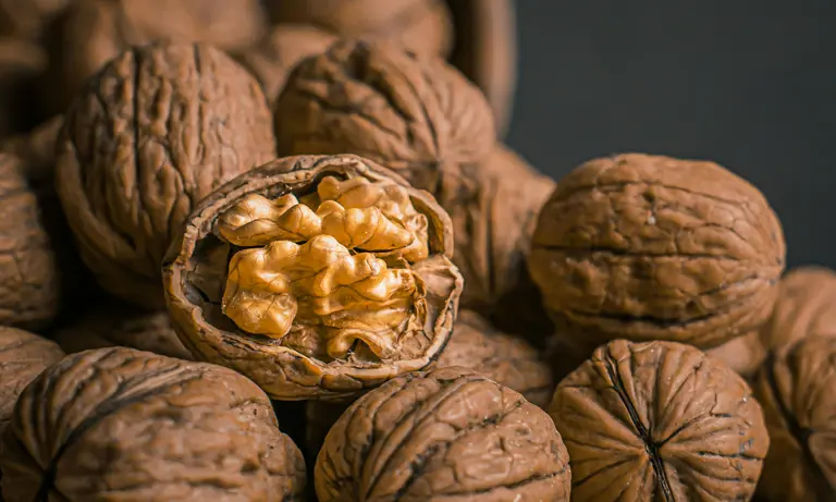 What happens to your body when you eat walnuts every day?